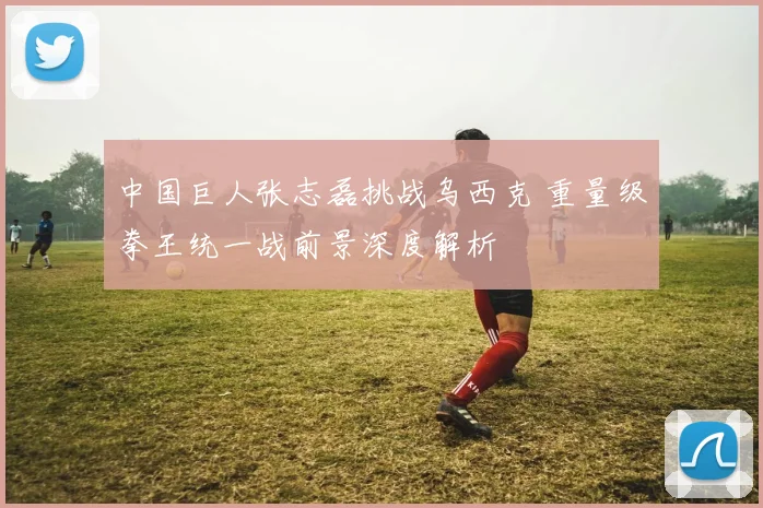 中国巨人张志磊挑战乌西克 重量级拳王统一战前景深度解析
