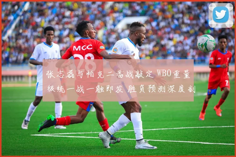 张志磊与帕克二番战敲定 WBO重量级统一战一触即发 胜负预测深度剖析